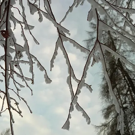 Apartment Casetta Gialla