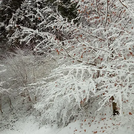 Apartamento Casetta Gialla *